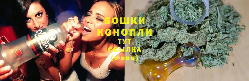 Каннабис Ganja  что такое   Бакал 